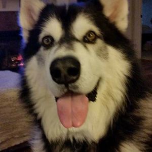 Meet your Posher, Erick